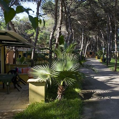 Camping La Vecchia Torre Ξενοδοχείο Gallipoli Εξωτερικό φωτογραφία